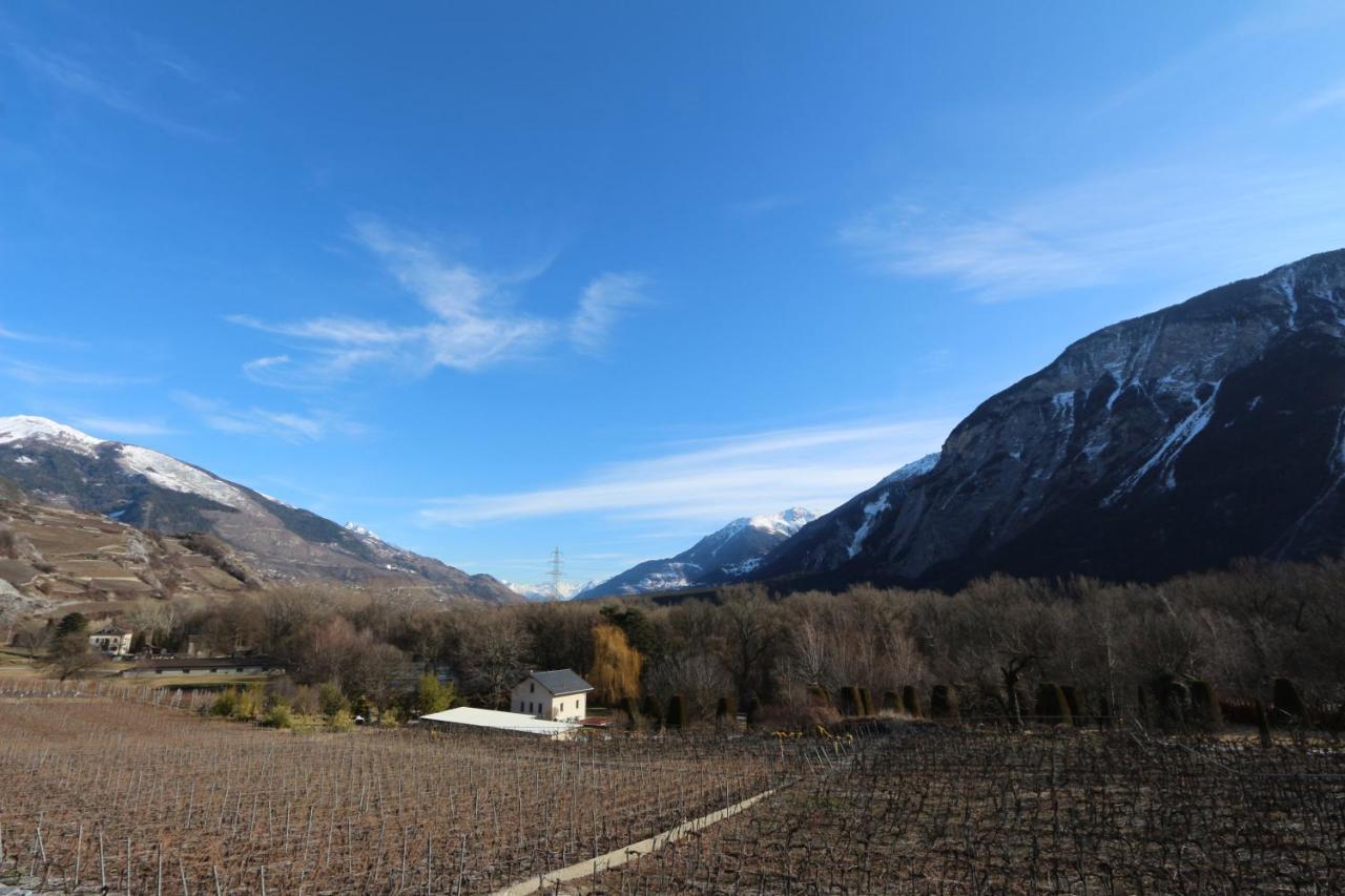 Bnb Vino Veritas Salgesch Dış mekan fotoğraf